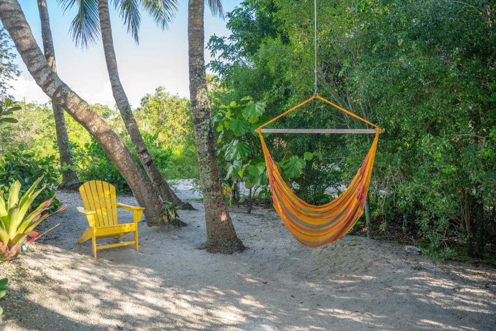 hanging hammock chair