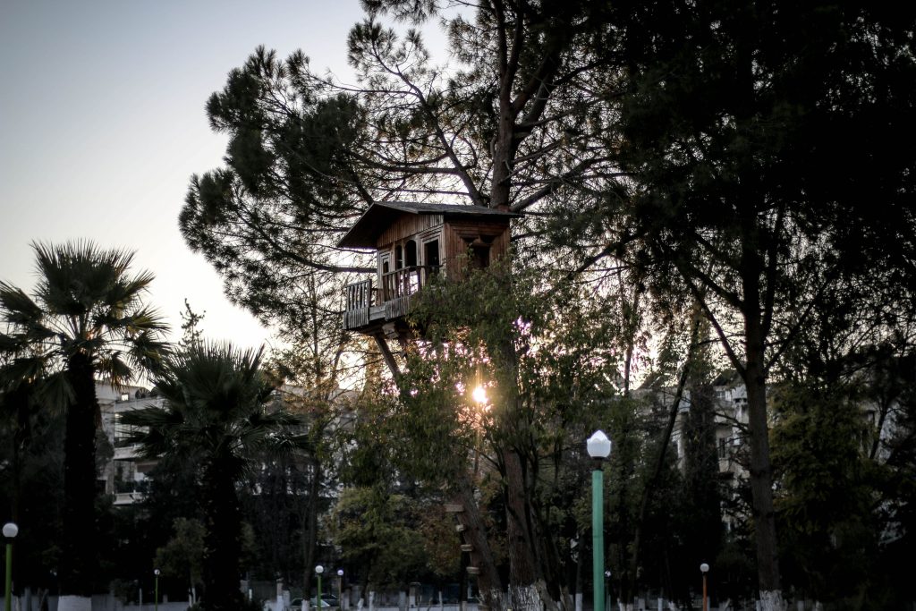 Treehouse Roof Ideas