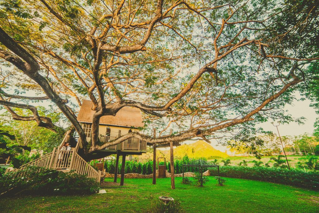 Treehouse Roof Ideas