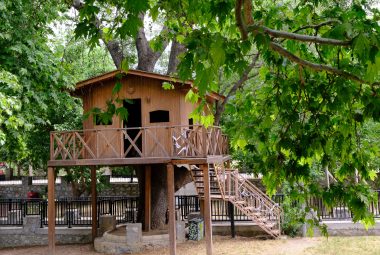Treehouse Roof Ideas