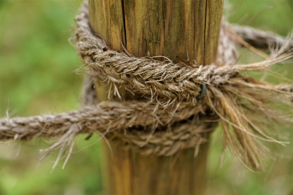 tree rope