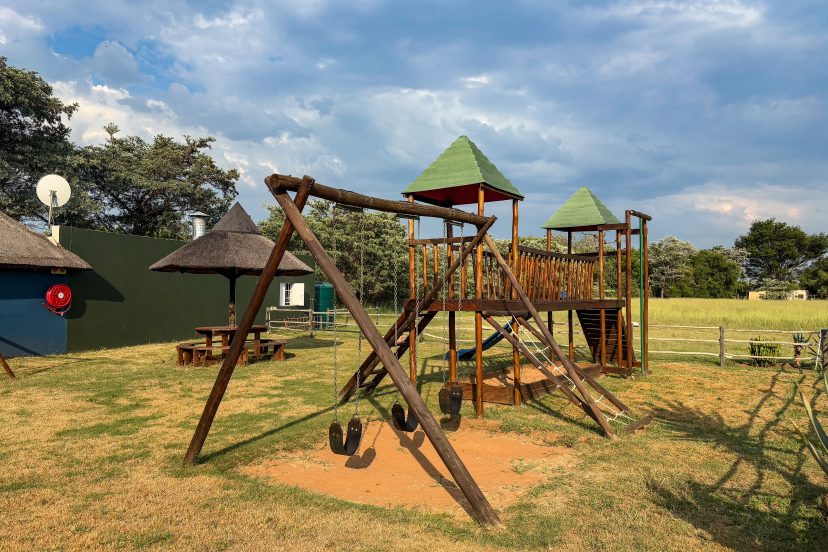 kids jungle gym